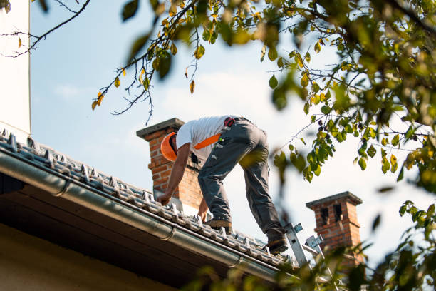 Quick and Trustworthy Emergency Roof Repair Services in Hilo, HI